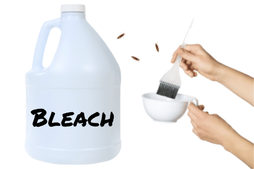 will bleaching hair kill lice