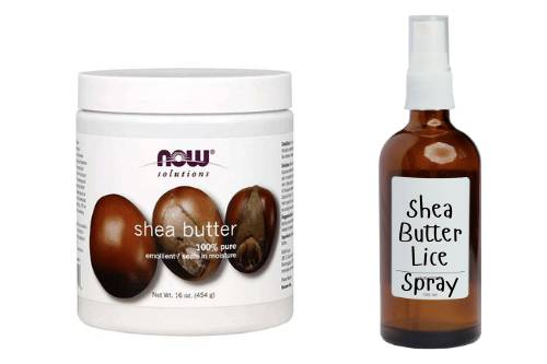 bottle of shea butter lice prevention spray and a container of shea butter