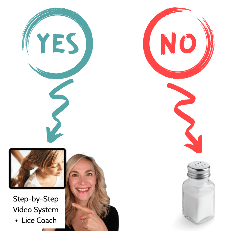 lice expert vs salt shaker