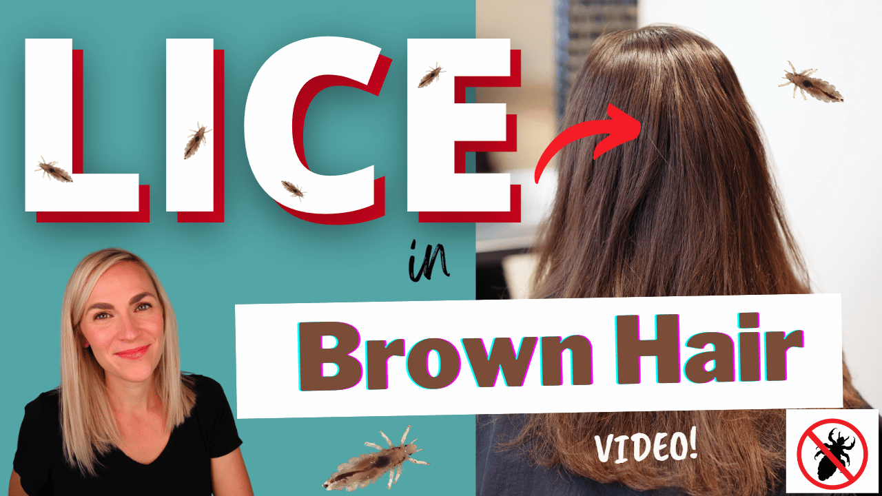 lice in brown hair youtube thumbnail