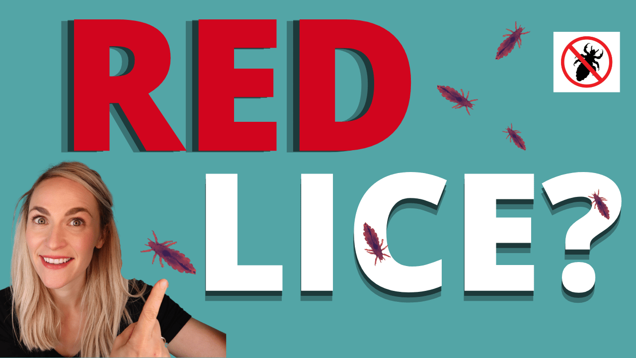 Red Lice Thumbnail