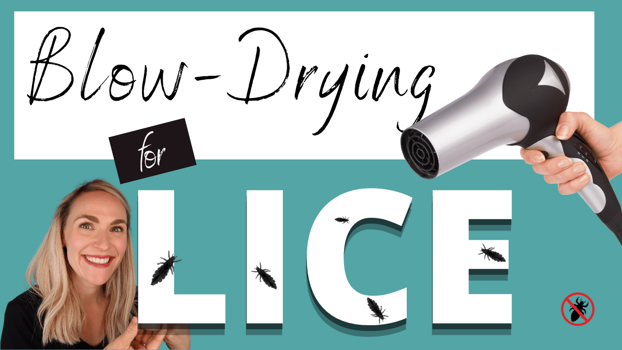 Lice nurse pointing to lice bugs with blow dryer