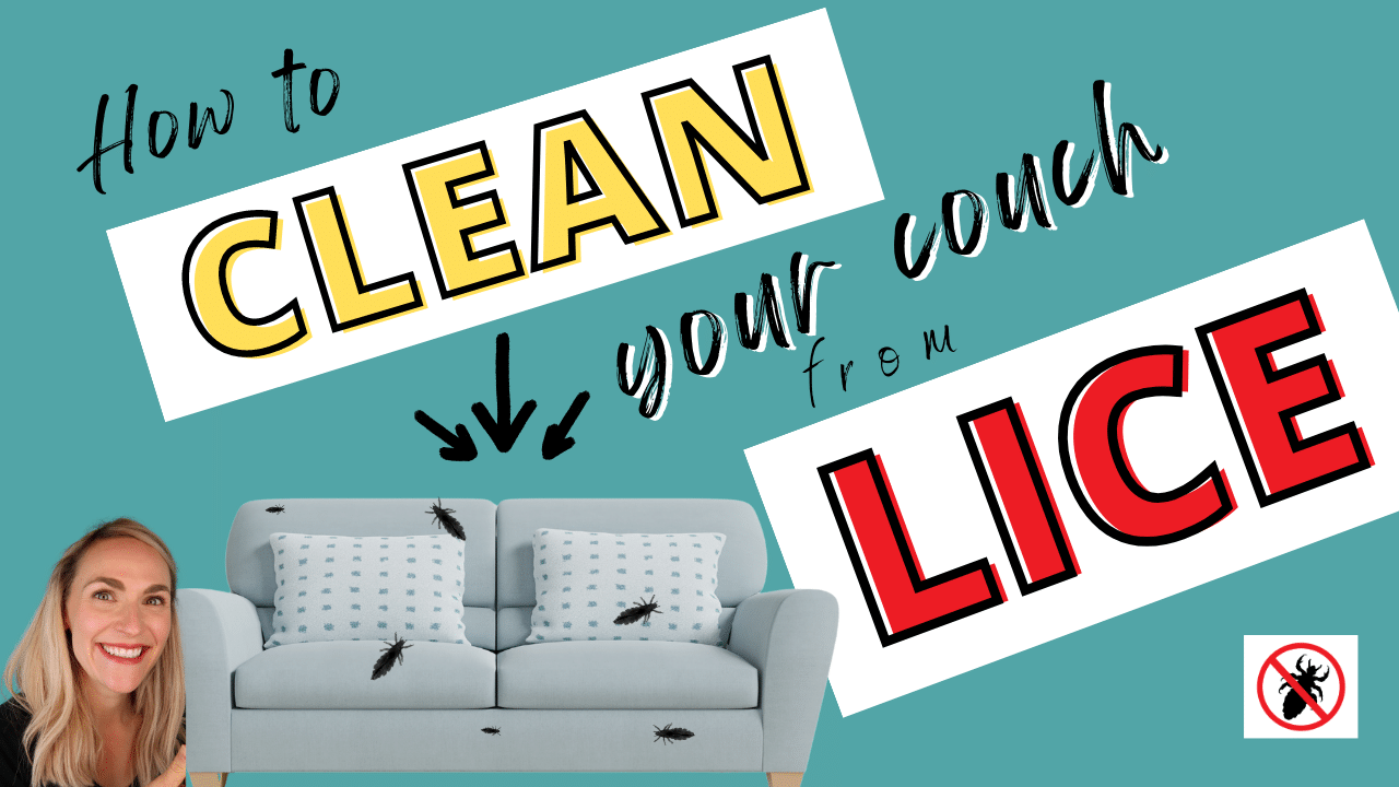 Clean the couch after Lice Thumbnail