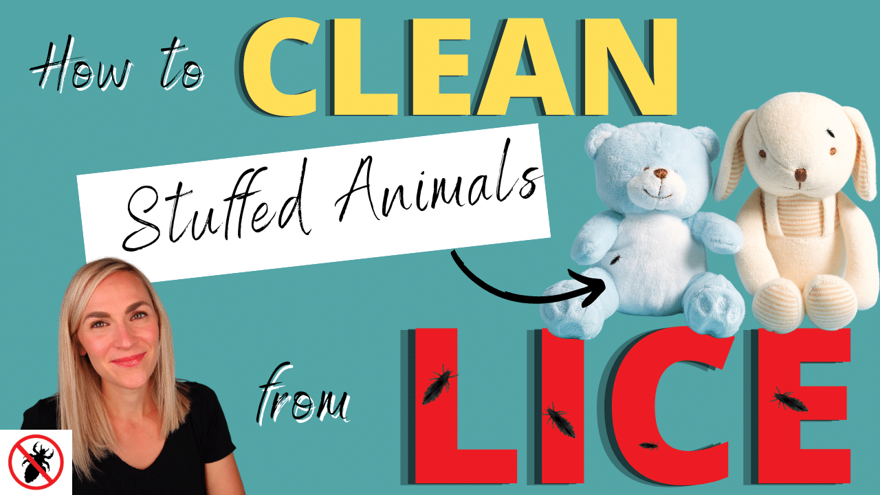 How to Clean Stuffed Animals from lice thumbnail