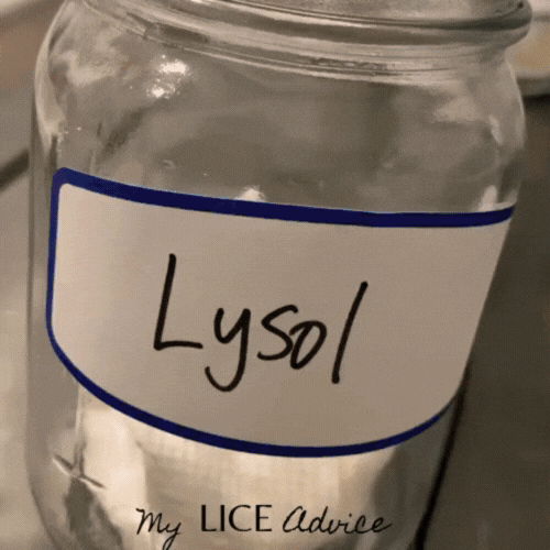 jar of lice with lysol used. Lice still alive.