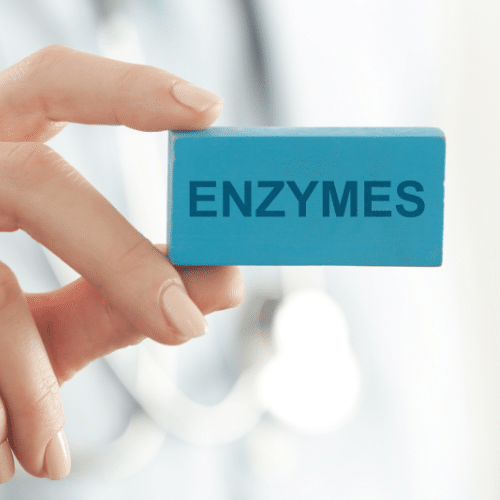 enzyme lice spray to kill lice on car seats