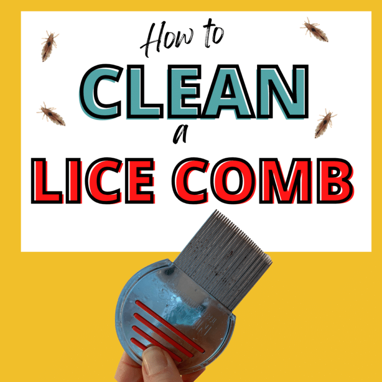 7 Proven Ways to Clean Out and Disinfect your Lice Comb