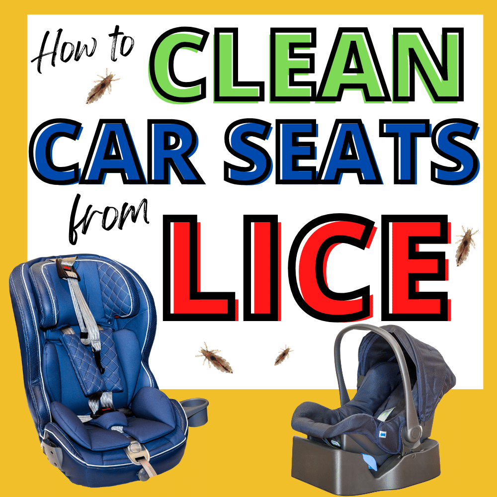 car seats with lice needing to be cleaned