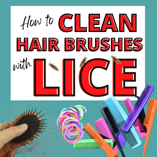 featured image for article words how to clean hair brushes with lice. A hair brush, several combs, and hair bands infested with lice