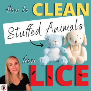 How to Clean Stuffed Animals From Lice - Video - My Lice Advice