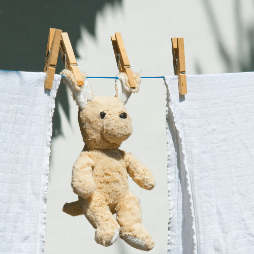 stuffed animal being cleaned and treated for lice