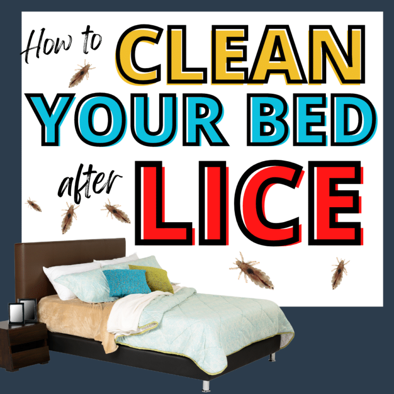 9 Best Ways to Treat Head Lice on Your Mattress, Bed, Pillow and Sheets