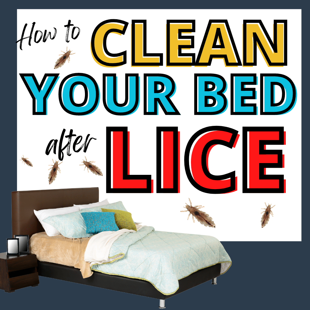 bed with lice needing to be cleaned