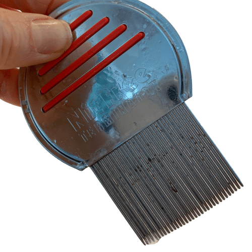 lice comb being cleaned