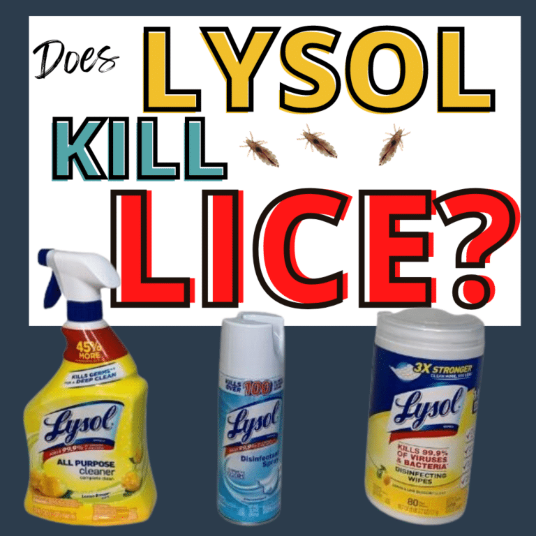 Does Lysol Kill Lice? Experiment & Video My Lice Advice