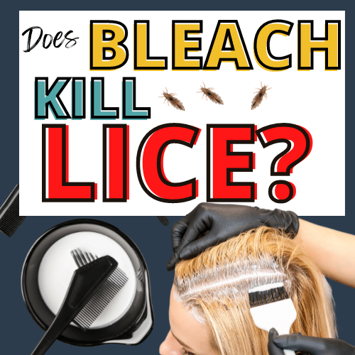 woman bleaching her hair with several lice bugs nearby