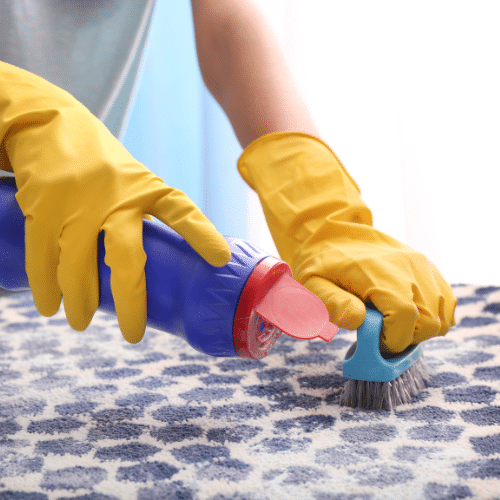 borax powder on the carpet for lice