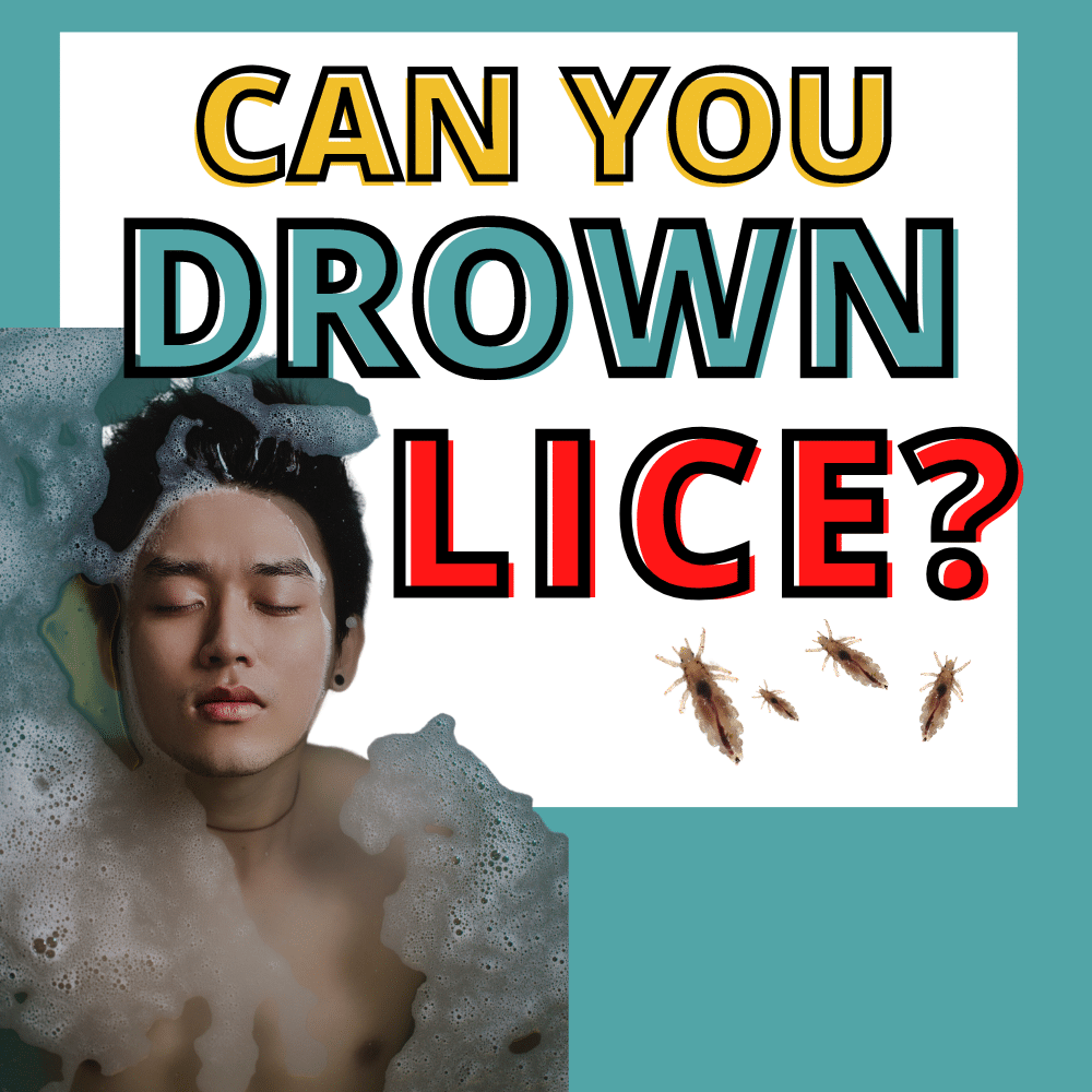 man soaking with head lice near by, presumably trying to drown lice