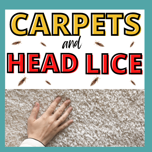 carpets and head lice featured image
