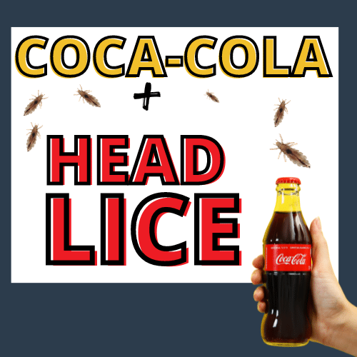 bottle of coca cola surrounded by head lice. Coke presumably to be used as a head lice treatment.