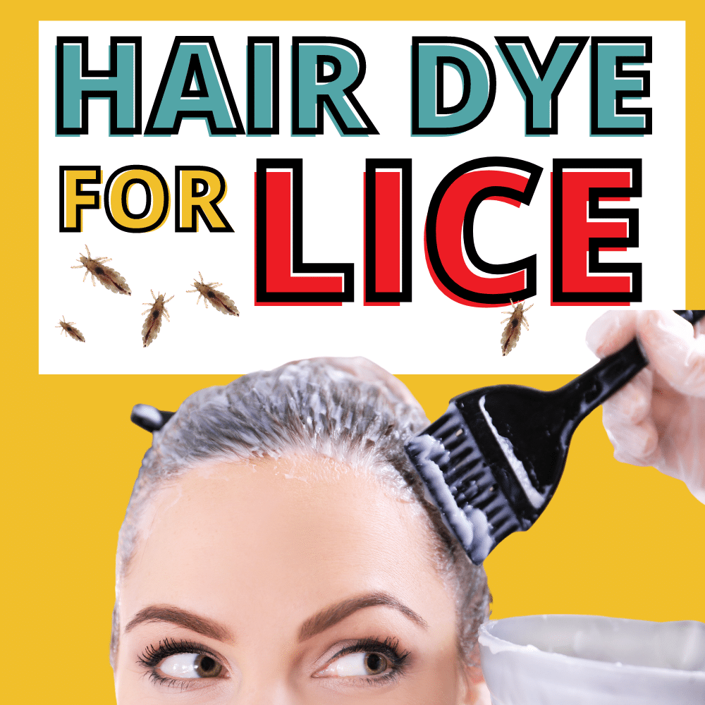 woman getting hair dyed several lice bugs nearby