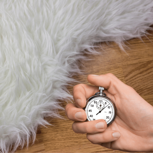 carpet and a stop watch, watching the time for how long lice live in carpet