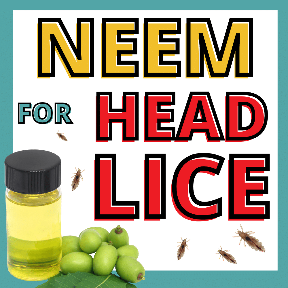 a bottle of neem oil and neem plant presumably being used for head lice