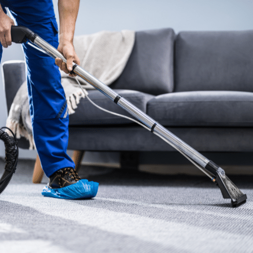 professional carpet cleaner presumably cleaning for head lice