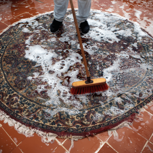 shampooing a carpet, presumably with lice