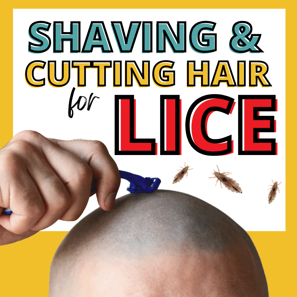 man shaving his head with several lice bugs around