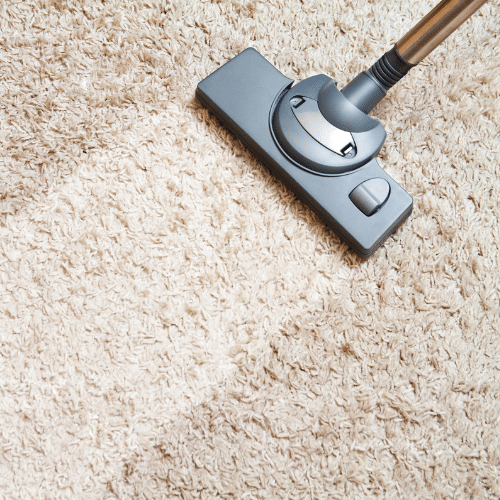vacuuming carpet for lice