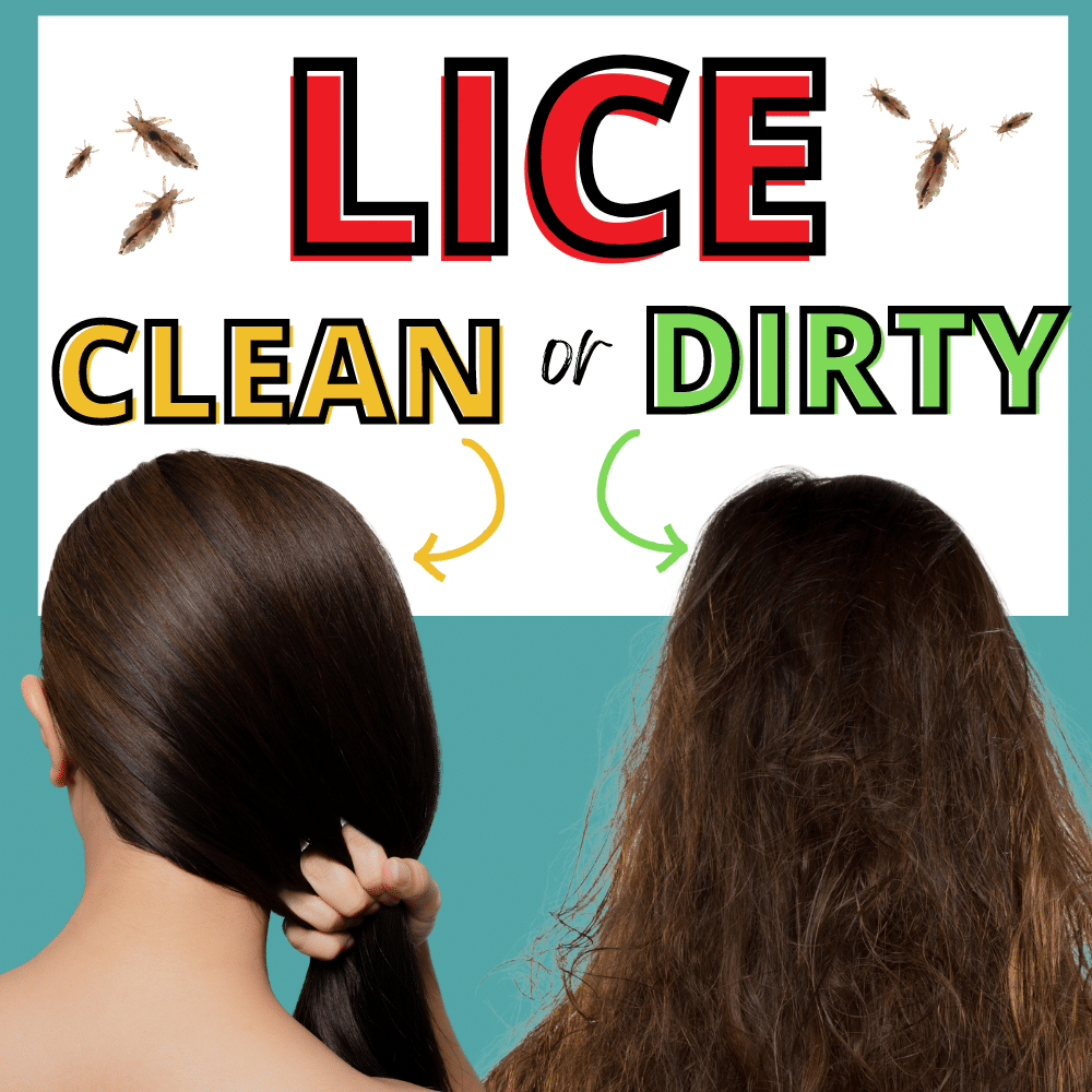 woman with dirty hair and woman with clean hair, surrounded by lice. Do lice prefer clean or dirty hair?