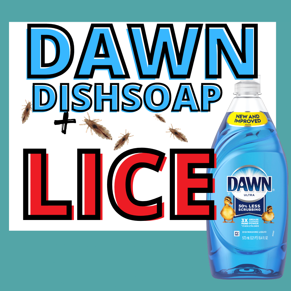 a bottle of dawn dish soap surround by head lice
