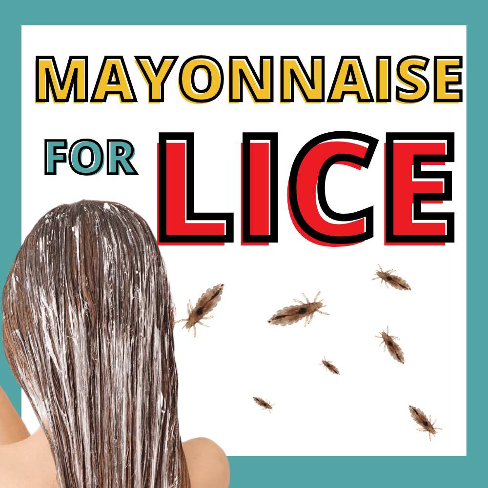 mayonnaise in a womans hair, surrounded by head lice. Presumably doing a mayonnaise lice treatment