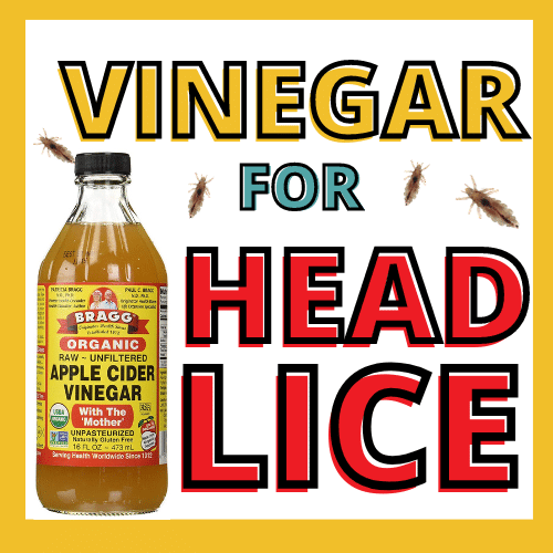 Apple Cider Vinegar for Lice Does Vinegar Kill Lice or Loosen Nits?