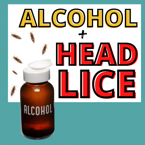 bottle of rubbing alcohol surrounded by head lice