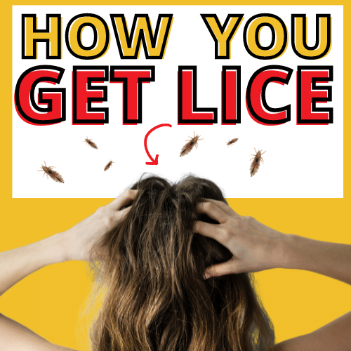 woman with lice scratching her head, presumably wondering what caused her to get lice