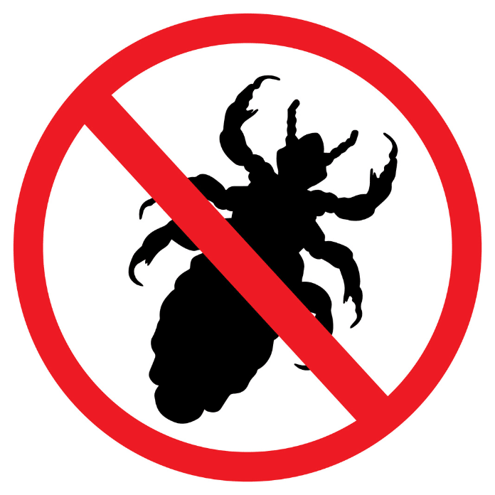 My Lice Advice logo