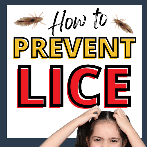 how to prevent lice featured image. Girl scratching her head and two lice bugs